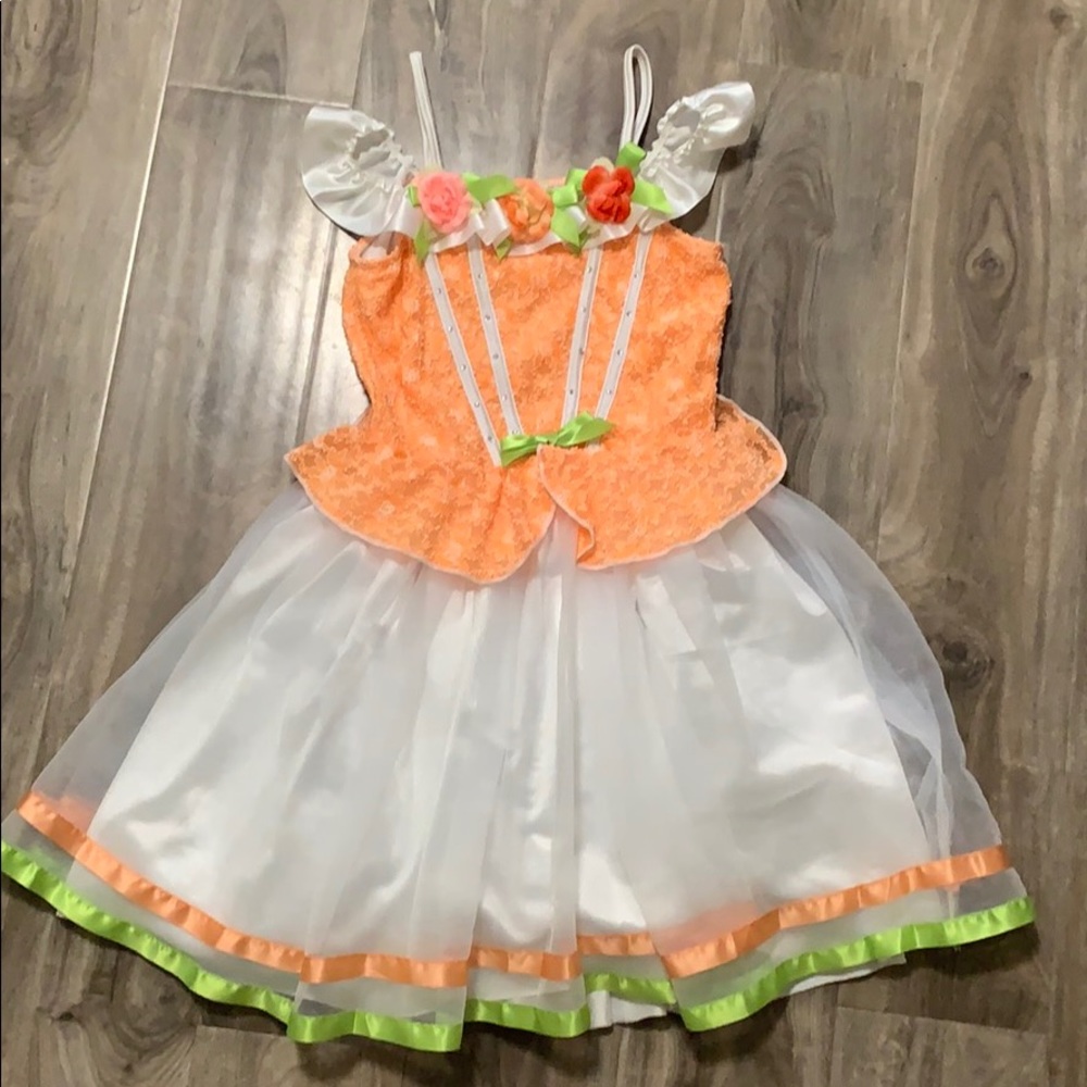 Princess dress costume